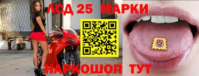 первитин Владимир