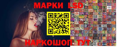 Альфа ПВП Владикавказ