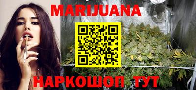 Альфа ПВП Владикавказ