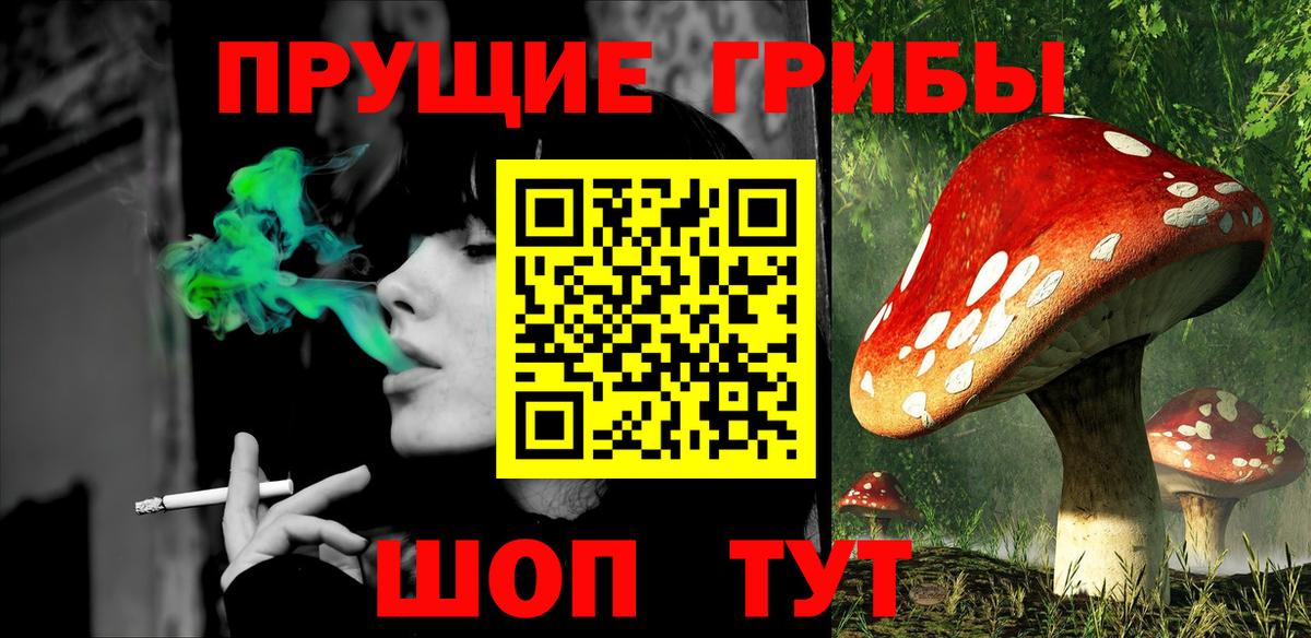 Галлюциногенные грибы GOLDEN TEACHER  Псилоцибиновые грибы Psilocybe  Кулебаки  Вход с VPN 
