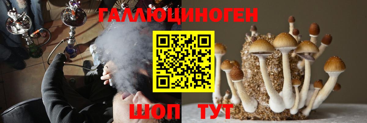 Галлюциногенные грибы GOLDEN TEACHER Кулебаки